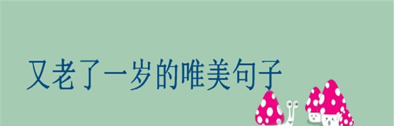 有关生日的唯美句子的句子（生日之诗：唯美短句）