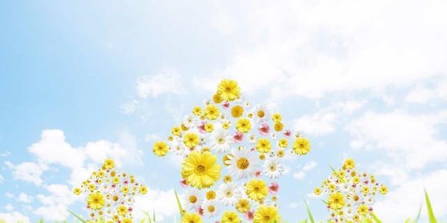 关于阳光的唯美说说（让阳光温暖你的心）