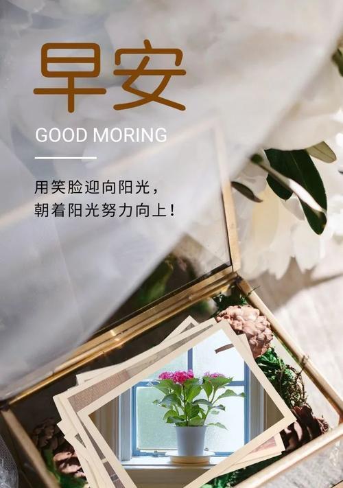 早上发朋友圈的好词好句（清晨美景，心灵乐章）