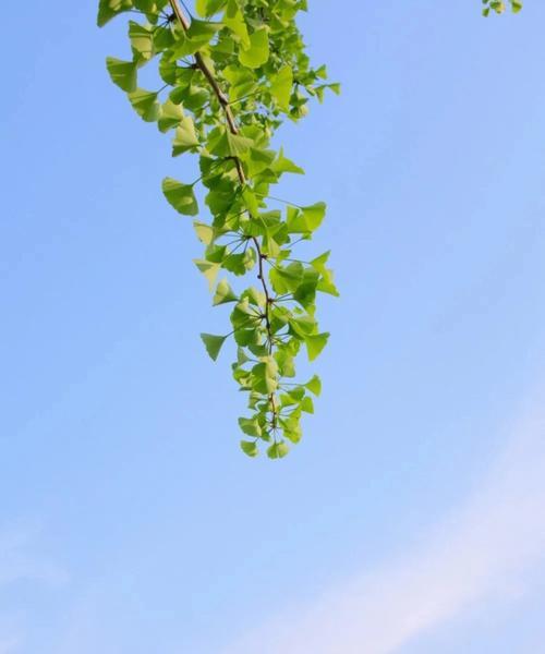 十月再见十一月你好短句说说（流年如水，珍惜当下）