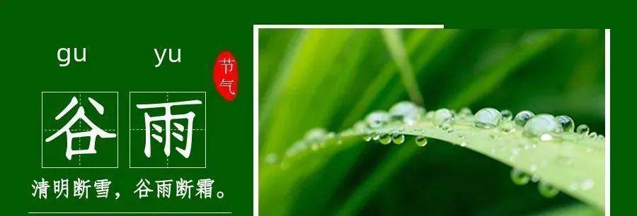 谷雨的说说心情短语 唯美（细读谷雨经典句子，发现生命之美）