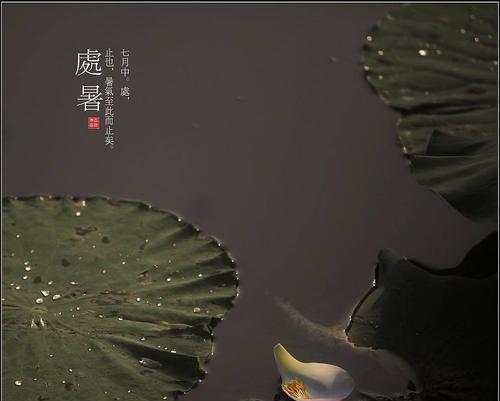 2021处暑节气说说精选（2023处暑祝福语句子）
