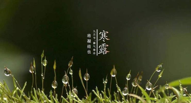寒露时节祝福的句子（万物萌发，寒露祝福）