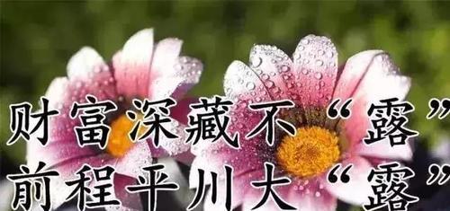 寒露时节祝福的句子（万物萌发，寒露祝福）