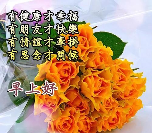 最浪漫的早安情话简短（爱如初见，最浪漫的早安问候语）