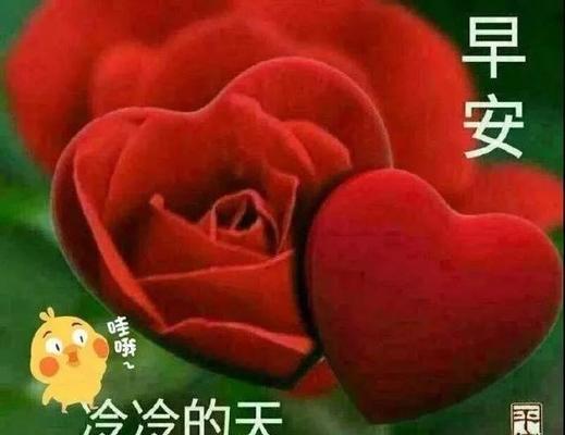 最浪漫的早安情话简短（爱如初见，最浪漫的早安问候语）