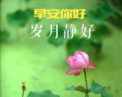 有关最经典最暖心的早晨问候语的好句有哪些（早晨问候语：温暖你的每一个清晨）