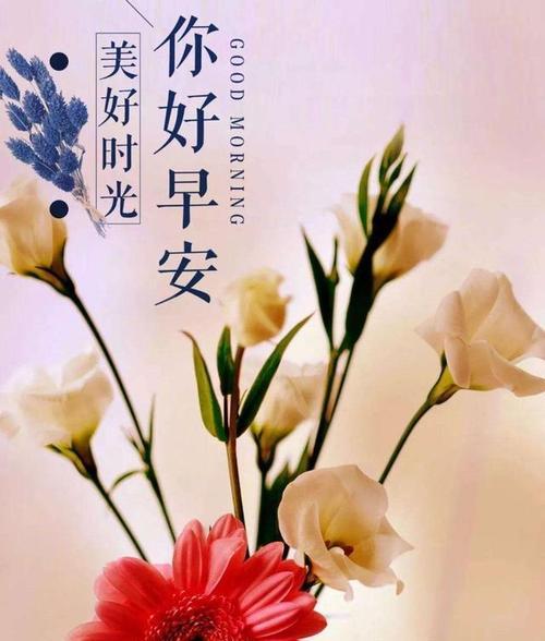 202年早安的祝福语（早安句子2023）