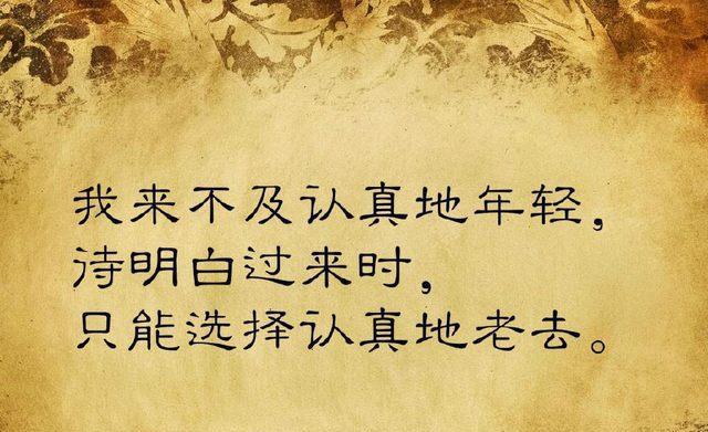 有关人生追求的名人名言（追寻人生之路——寻找那灵魂的归处）