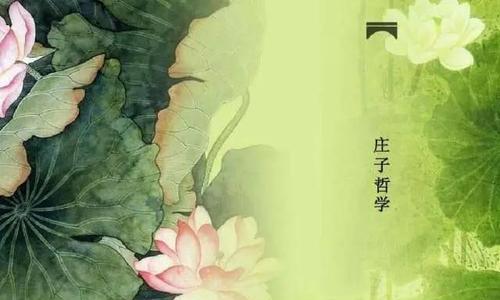 《庄子》中的名言警句（探寻美学和哲学思想）