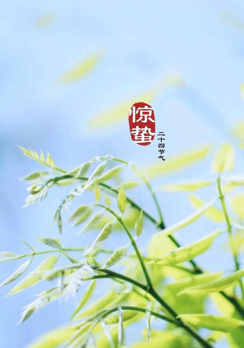 惊蛰节气朋友圈说说发什么好（2023惊蛰时节朋友圈祝福好句）