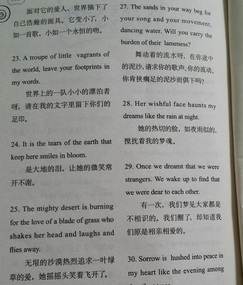 英语好句简短100句初中（探寻初中英语经典句子之美）