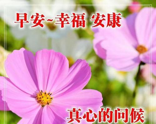 一天一句心情早安祝福语（未来的每一天，都会有早安的问候）