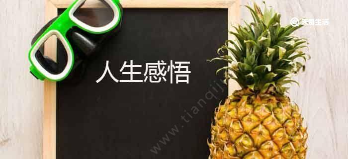 关于一个人生活的经典语录（一个人的孤独之美）