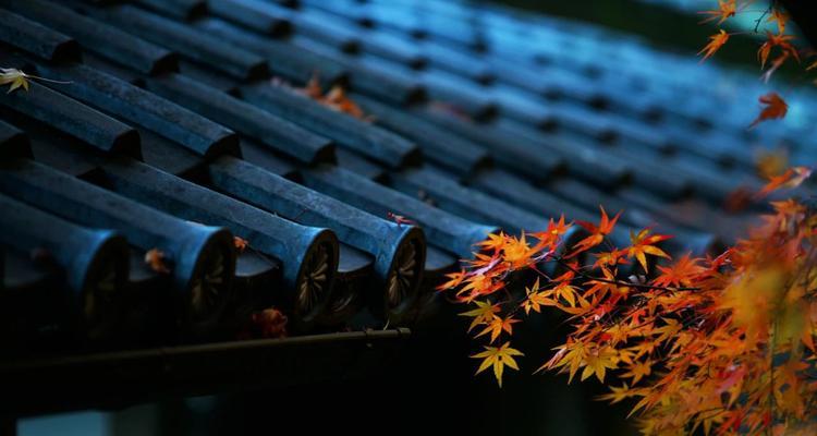 有关一场秋雨一场寒唯美句子的句子有哪些（一场秋雨一场寒，让人品味生命的美好）