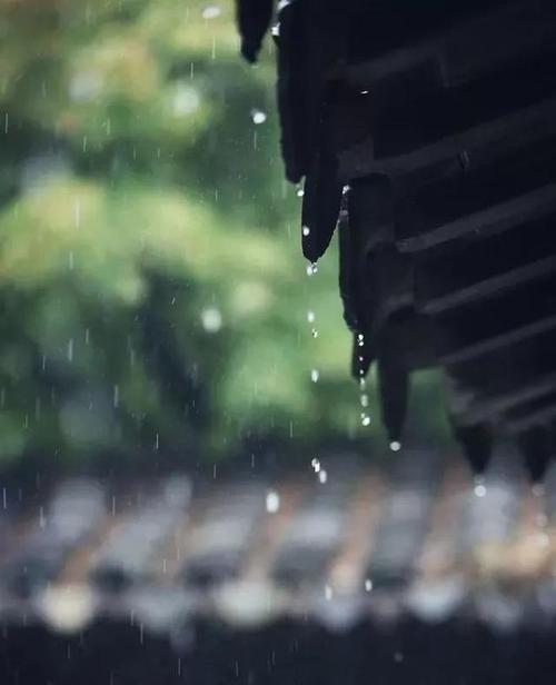 一场秋雨一场寒的说说心情短语（《秋雨寒》——一个孤独者的心灵之旅）
