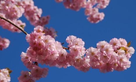 有关压抑憋屈的心情说说2023的短句英语（内心光芒不灭）