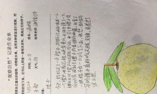 以在自然中发现了美为话题的作文题目（《山林之美》）