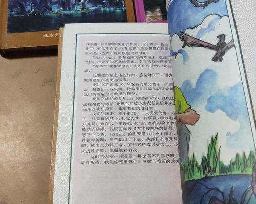 大自然中发现的奥秘作文（《大自然奥秘的惊奇发现》）