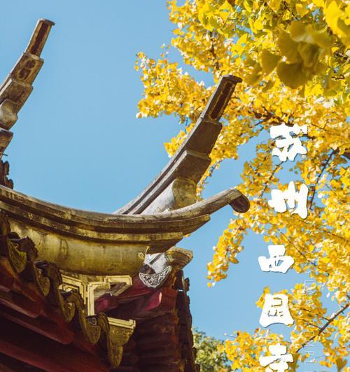 苏州的秋天 作文（《苏州的秋天》）