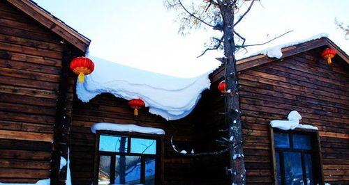 白雪美景的作文（《白雪下的故事》）