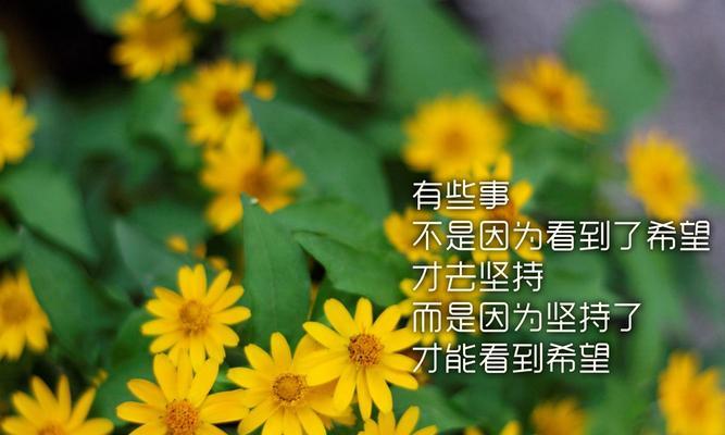 做事要坚持不懈的议论文（《前方的路》）