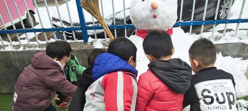 关于冬天和雪的作文（《雪花飘落的时光》）