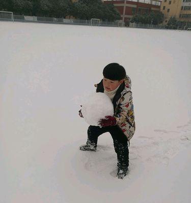 关于冬天和雪的作文（《雪花飘落的时光》）