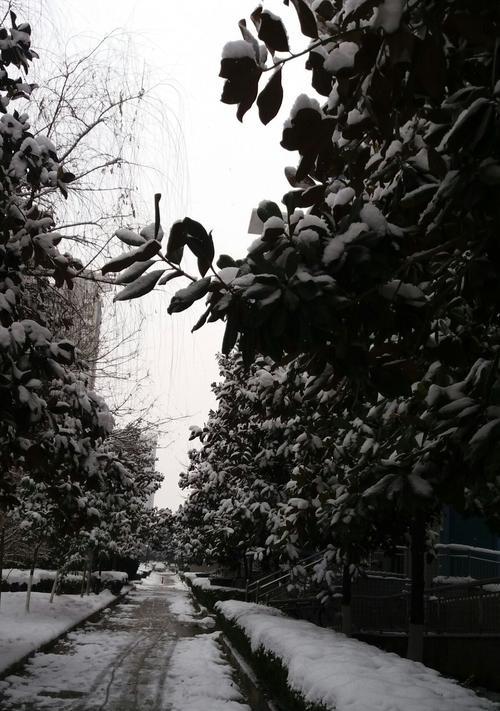 关于冬天风景的作文300字（《Winter'sWonderland:ATaleofSnowySplendor》）