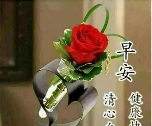早上问候语发朋友圈应该怎么说（早上好，世界！）