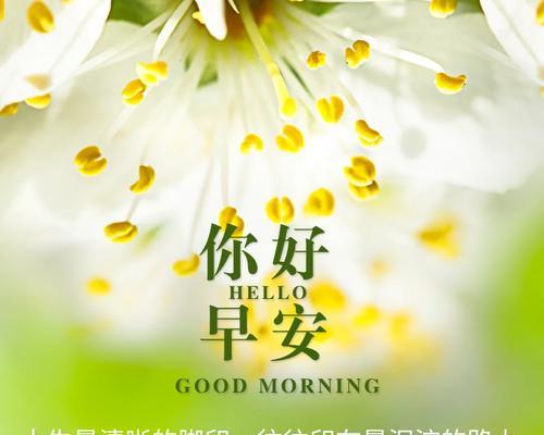 早上好的优美句子 最温暖的早安问候语（用唯美短句，让早晨更温馨）