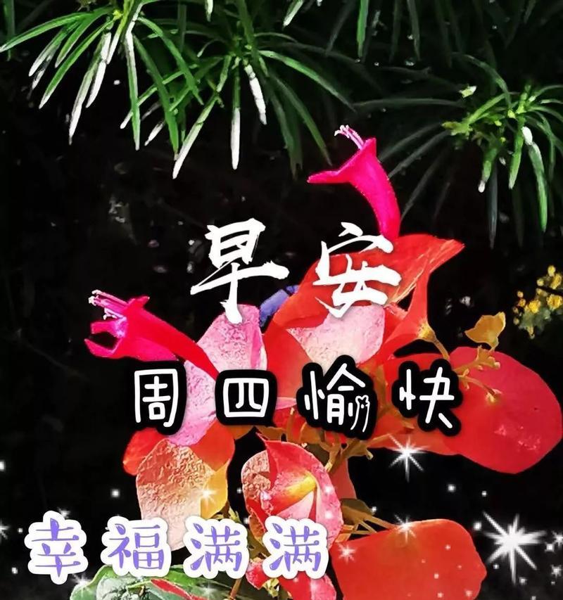 早上朋友圈问候语短句（清晨的芬芳）