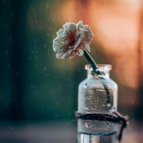 适合下雨天发的心情说说大全（雨落花香，情绪洒满心间）