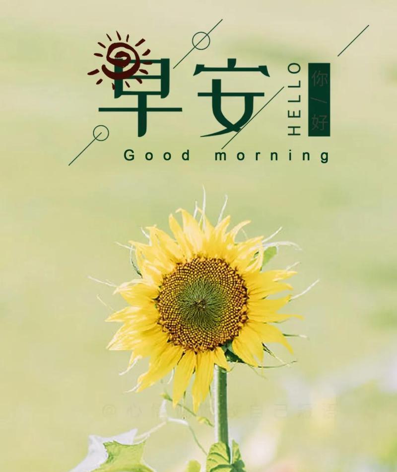 12月第一天的励志说说（乘风破浪，迎接新的开始）