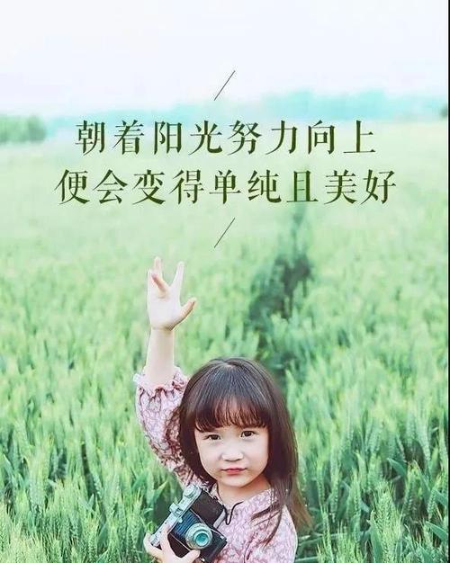 2029最后一个月的说说（岁月静好）