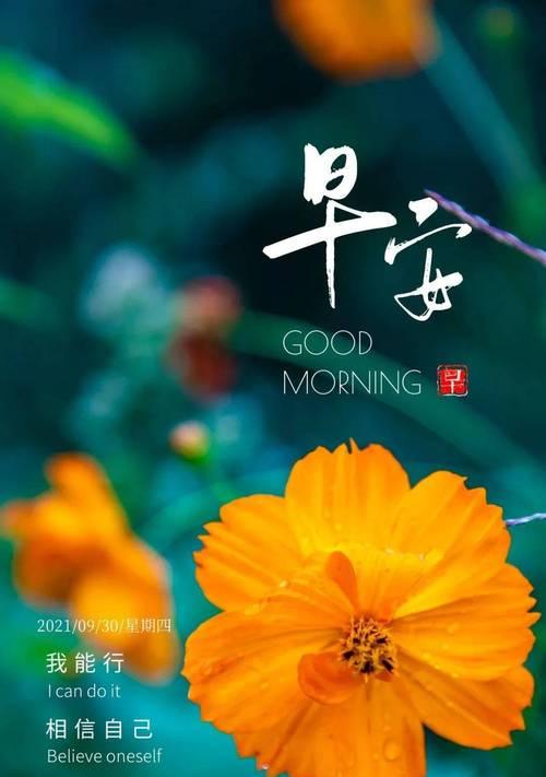 二零二零年最后一天的说说（别样的一年，别样的感慨）