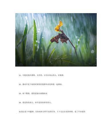 适合6月发的说说（六月花开，心情如花）