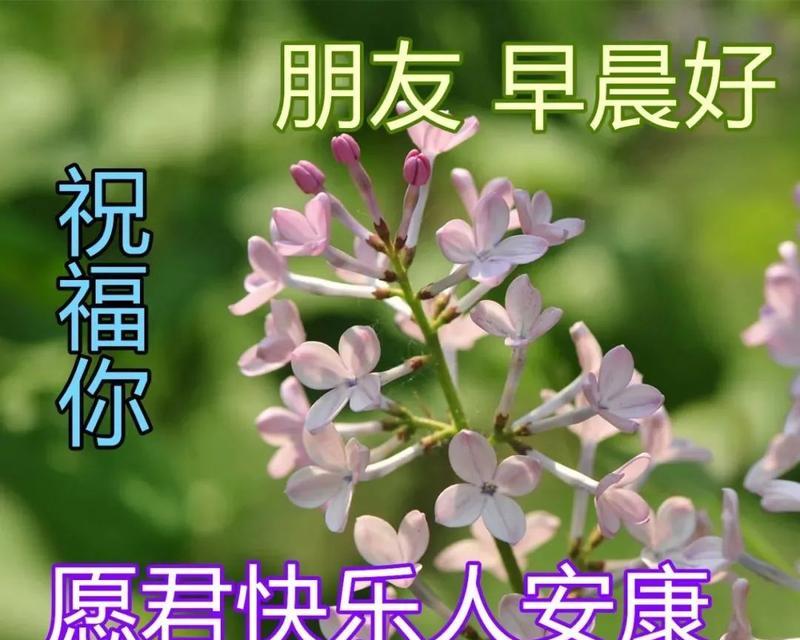 2028年最后一天的说说（2023年最后一天祝福语说说）