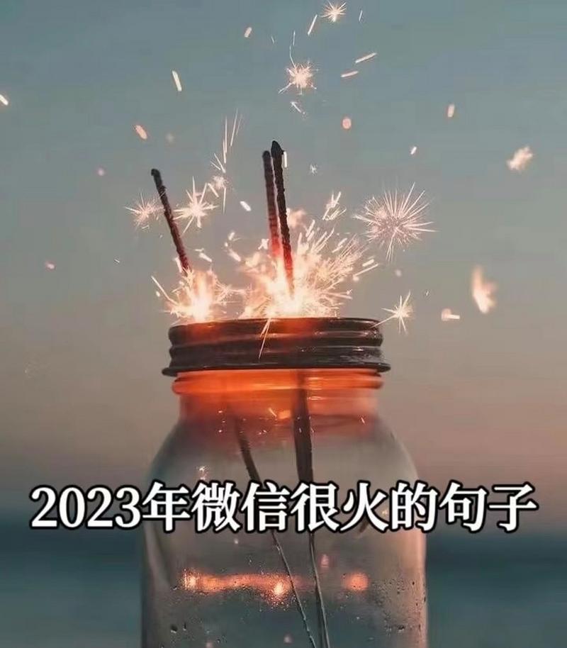 高三激励语录经典语录（2023，绽放你的芳华）