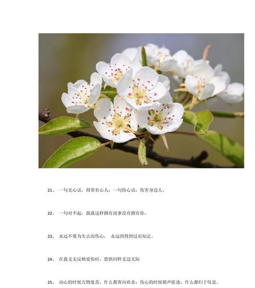 适合发说说的爱情句子温柔（绽放在心间的爱情花）