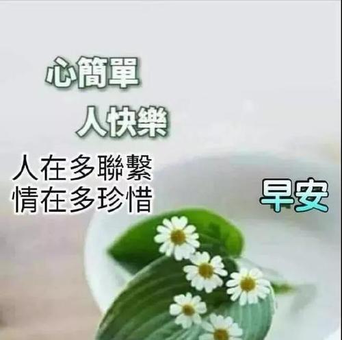 适合发朋友圈的早安温馨句子（唤醒美好新一天的心情）