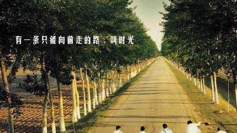 关于青春的佳句摘抄（青春经典句子摘抄——一场关于生命的狂欢）