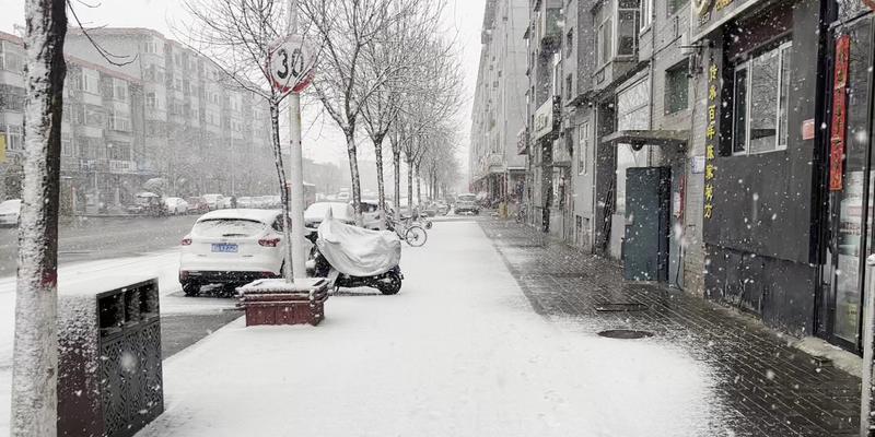 大雪 句子（2023适合摘抄的大雪优美句子好句）