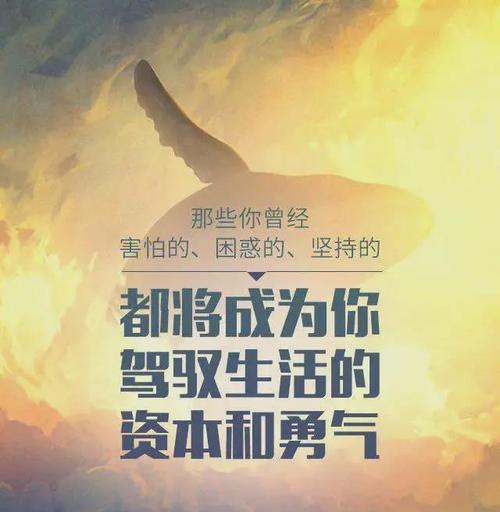 有关励志名言敢于尝试挑战的句子摘抄（敢于尝试，勇攀高峰）