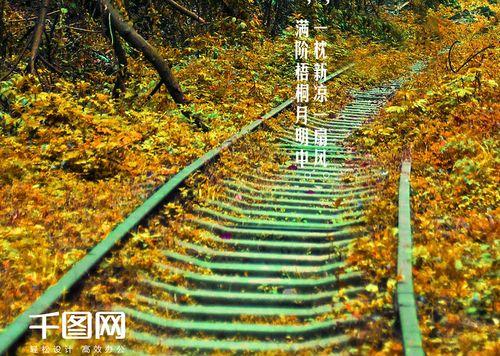 立秋的情感句子（用唯美短句描述立秋心情感受）