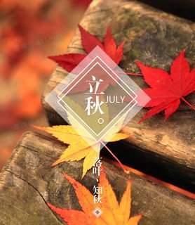 立秋发朋友圈说说大全心情短语（立秋寄情：唯美句子集锦）