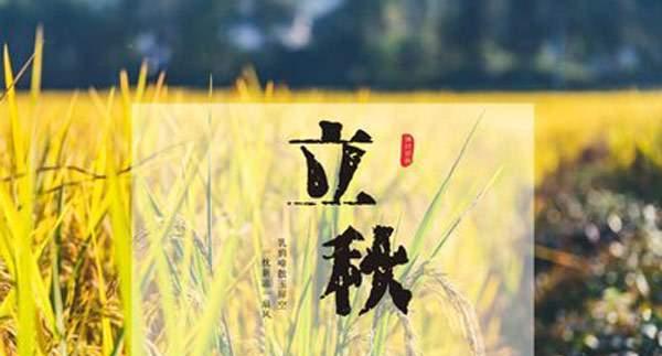 有关立秋朋友圈怎么发说说的好句子（立秋感悟）