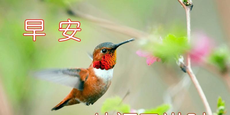 立冬的简单祝福语句（送给你的人，暖暖你的心）