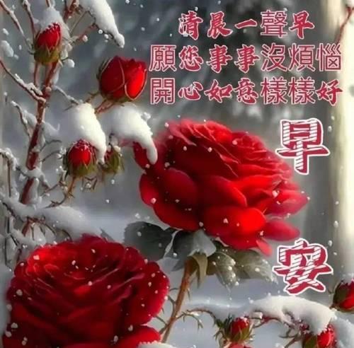 2020年早安的句子（沁心清新，唯美情感，生活多姿多彩）