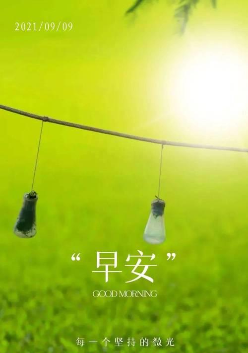 2020年早安的句子（沁心清新，唯美情感，生活多姿多彩）